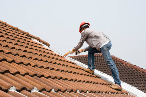 Best Metal Roofing Installation  in Nipomo, CA